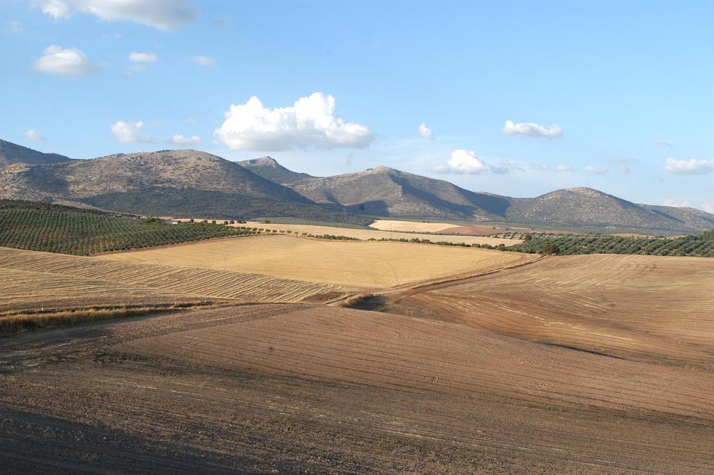 Hotel Cortijo Del Marques Алболоте Екстериор снимка